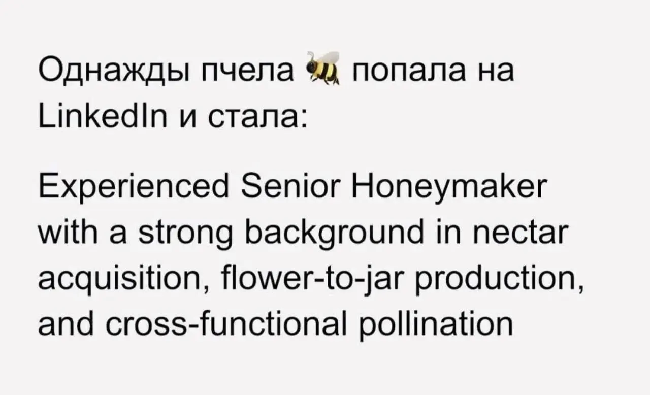 #meme | Сетка — социальная сеть от hh.ru