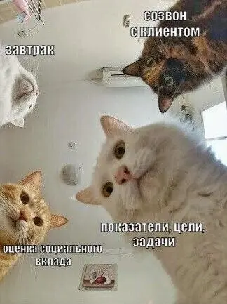 У каждого утром есть свои мысли, которые беспокоят. Мои выглядят вот так😄
А какие мысли посещают утром Вас? Делитесь в комментариях👇 | Сетка — социальная сеть от hh.ru