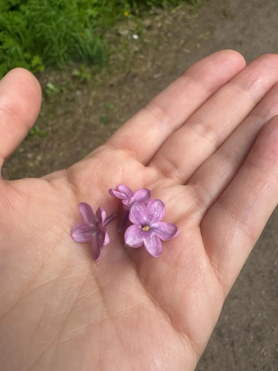 Сегодня меня немного триггернуло.
Звонит клиент | Сетка — социальная сеть от hh.ru