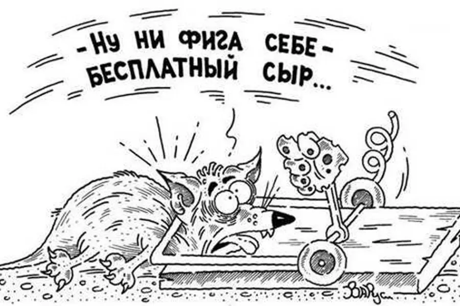 Обывательский миф об учителях-лохах | Сетка — социальная сеть от hh.ru