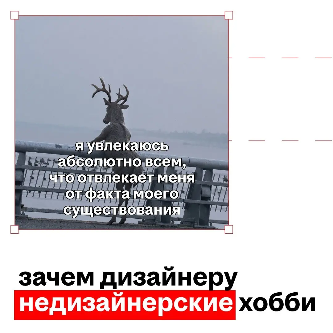 почему дизайнерам полезно кататься на моноколесе
а ещё — лепить из глины, петь, ходить в походы, выращивать цветы, танцевать, учиться карточным фокусам
несколько причин:
👉любое хобби развивает креатив... | Сетка — социальная сеть от hh.ru