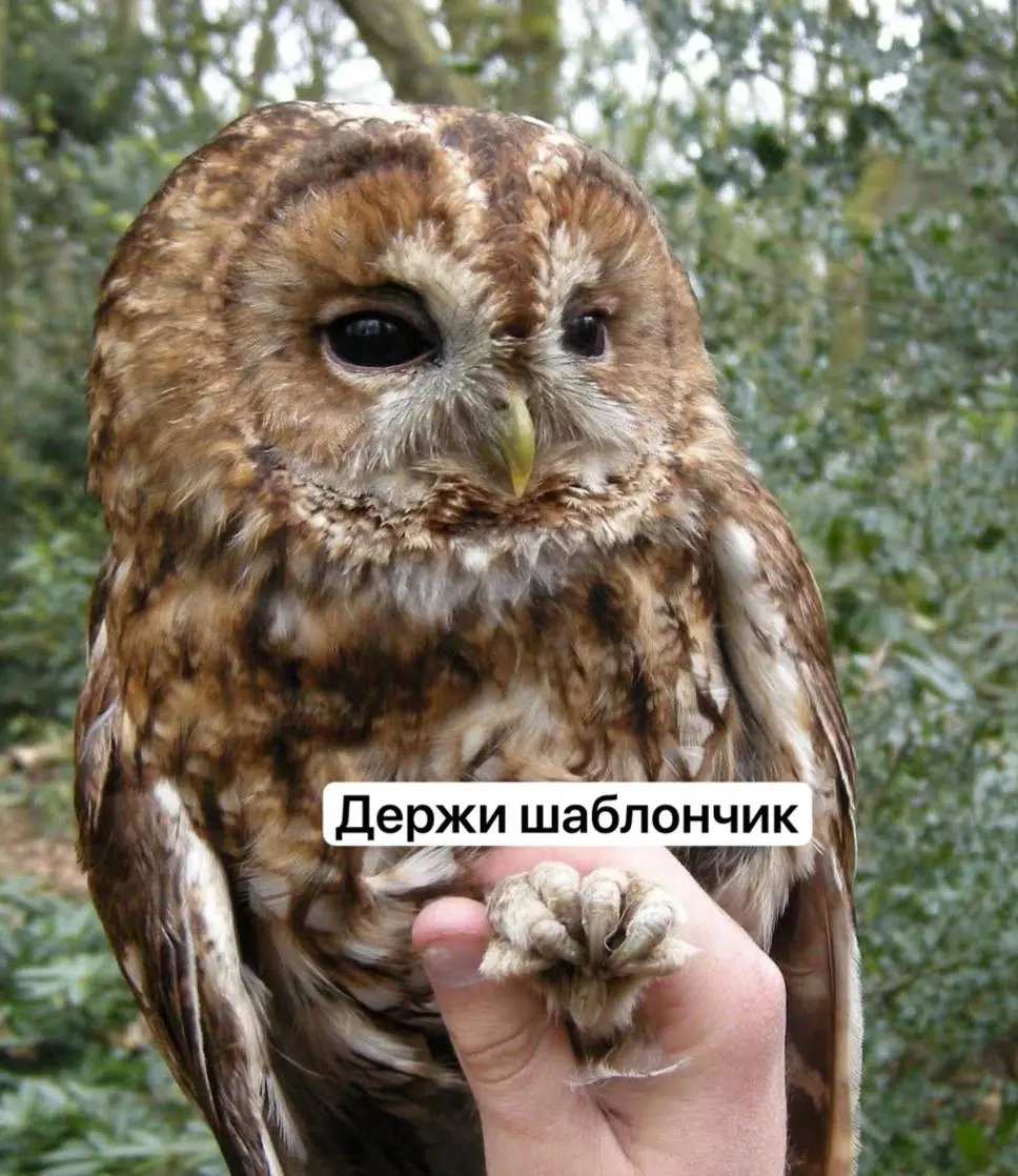 Сохраняйте шаблон письма-отчета по нагрузочному тестированию | Сетка — социальная сеть от hh.ru