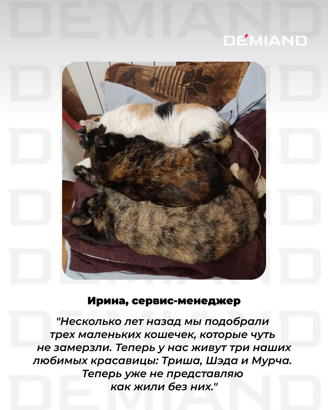 Доказали: добро заразительно! 😇 | Сетка — социальная сеть от hh.ru