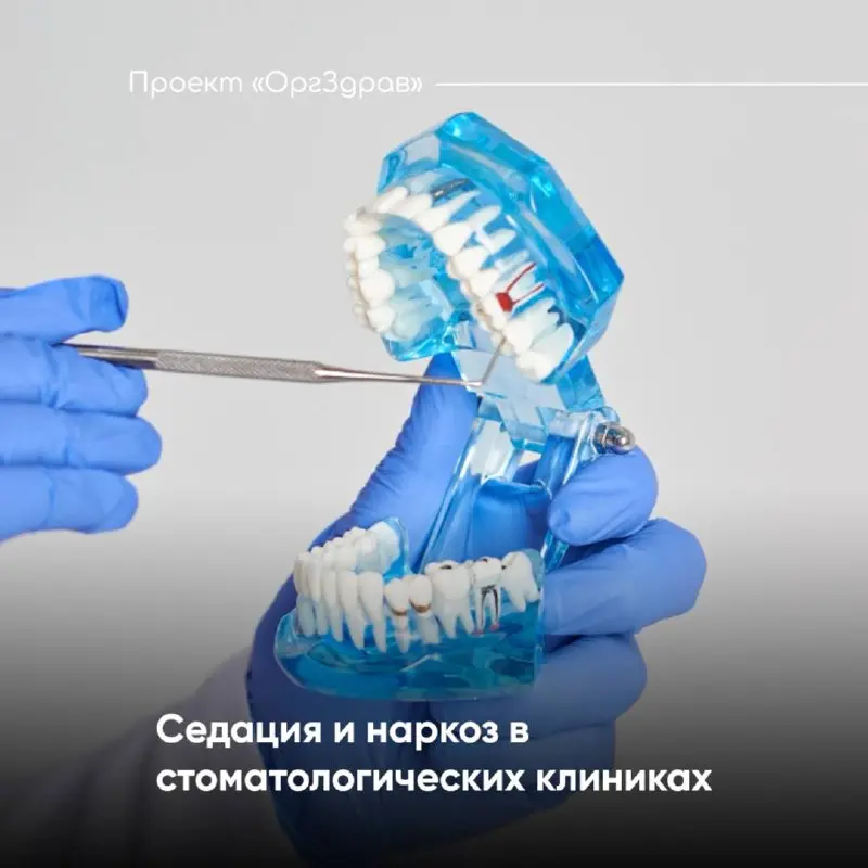 Седация и наркоз в стоматологических клиниках 🦷
Седация или наркоз в стоматологической практике - это и облегчение боли для пациента, и облегчение работы медицинского персонала
Но, помимо облегчения, ... | Сетка — социальная сеть от hh.ru