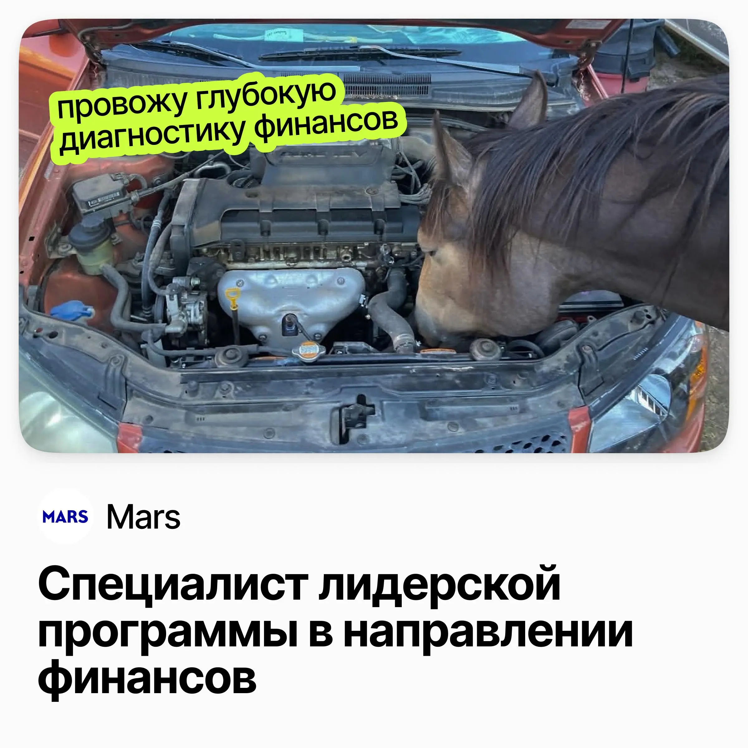 📈 Специалист лидерской программы в направлении финансов / Mars
Mars — семейная FMCG-компания с всемирно известными брендами | Сетка — социальная сеть от hh.ru