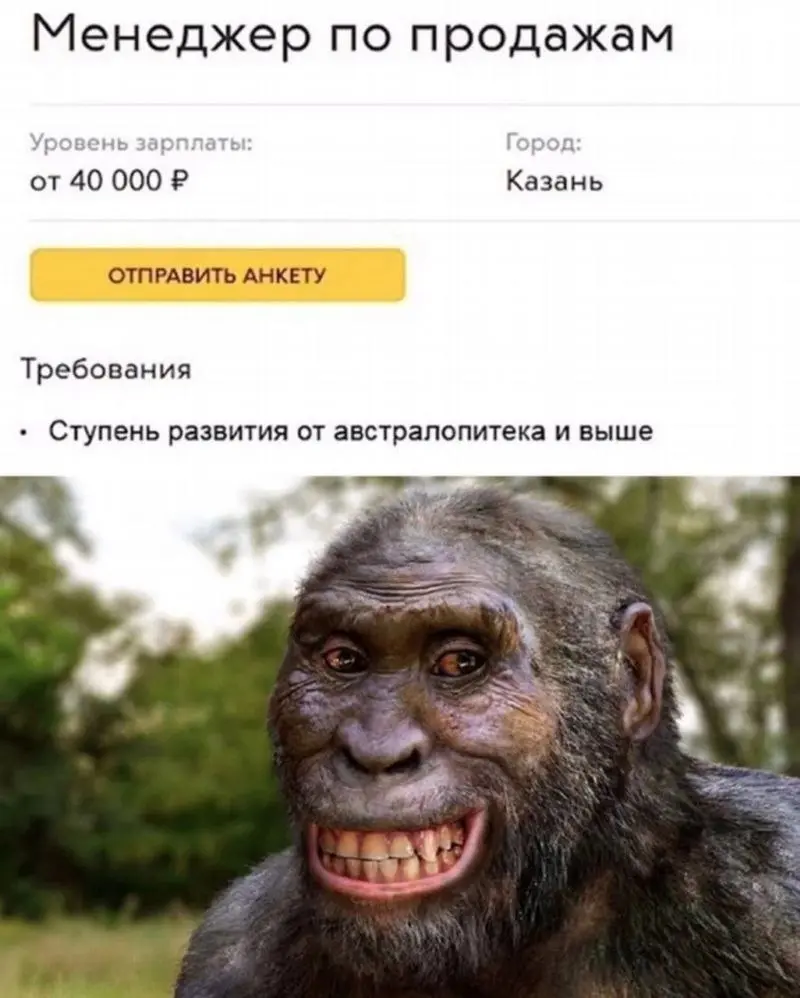 Вы платите людям деньги, а они всё равно уходят к конкурентам. Потому что дело не в деньгах | Сетка — социальная сеть от hh.ru