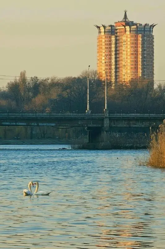 Добрый вечер!
Завтра в Донецке от +13℃ до +27℃
🌥 Облачно с прояснениями
• 00:00: 🌙️ +15℃ 🌀 33 ☂️ 2%
• 03:00: 🌙️ +14℃ 🌀 32 ☂️ 2%
• 06:00: ☀️️ +15℃ 🌀 30 ☂️ 2%
• 09:00: ☀️️ +23℃ 🌀 31 ☂️ 2%
• 12:00: 🌤️ +2... | Сетка — социальная сеть от hh.ru