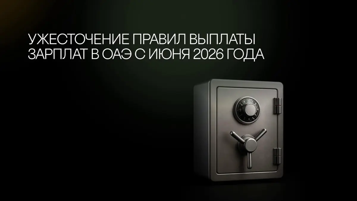 Из SMM в создателя продукта. День 9. | Сетка — социальная сеть от hh.ru