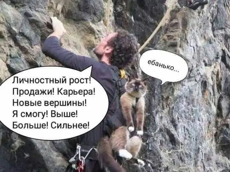 😂😆 | Сетка — социальная сеть от hh.ru