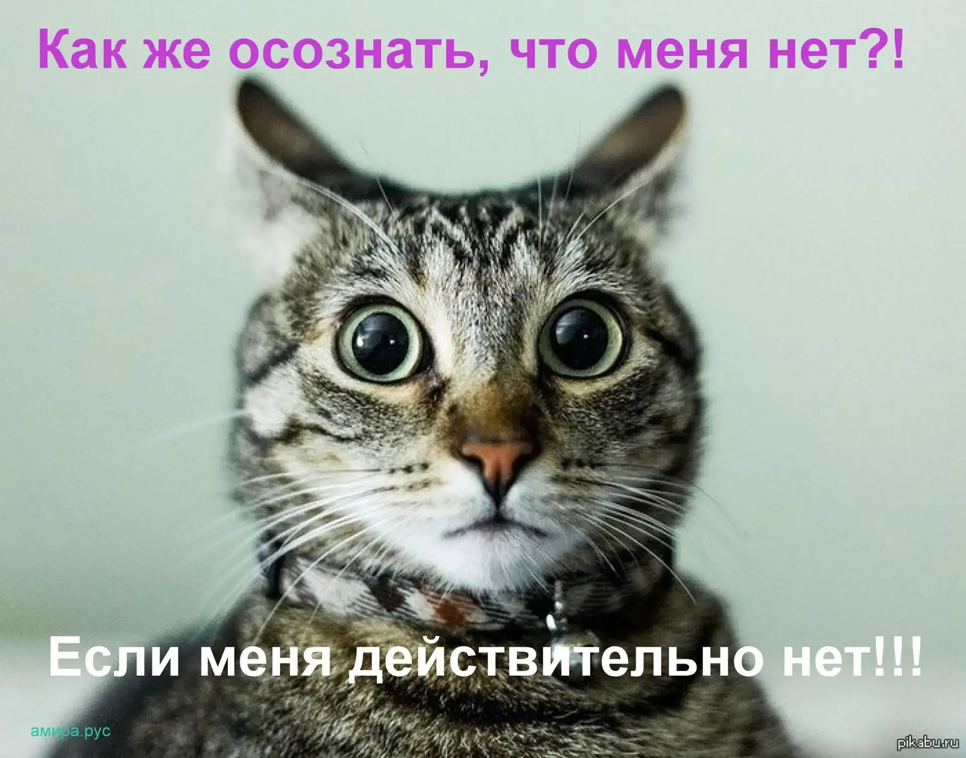 Моё любимое. Идея не моя, но мне очень понравилось | Сетка — социальная сеть от hh.ru