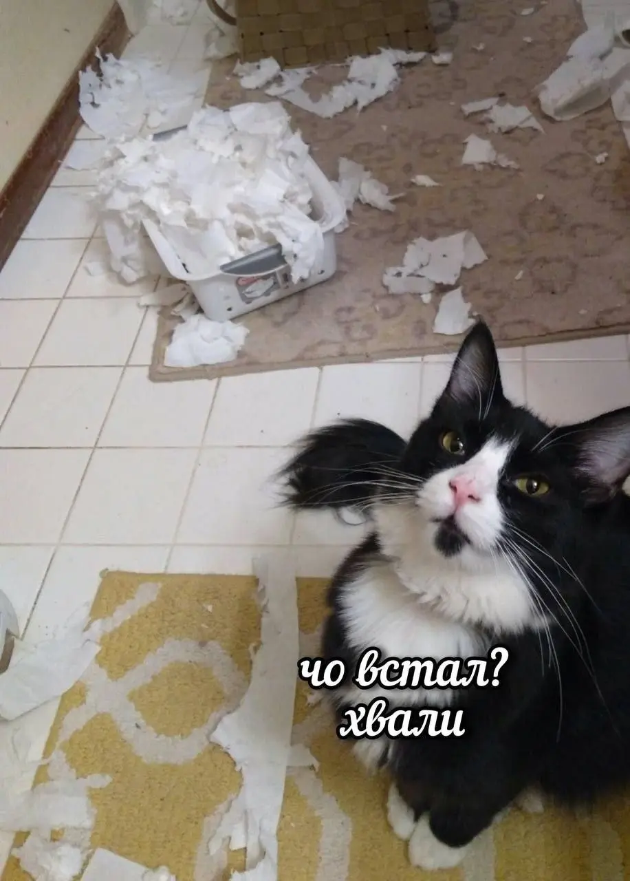 Котик старался, стоит сказать пару слов 😂
БЛОГ В ТГ / БЛОГ В MAX
#Юмор #Коты
В этом посте были ссылки, но мы их удалили по правилам Сетки | Сетка — социальная сеть от hh.ru
