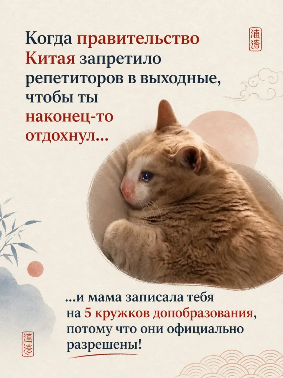 Результаты сегодняшних опросов наглядно показывают, насколько уникальна и сурова система образования в Китае! 🤯
Действительно, знаменитая государственная реформа «Двойного сокращения» (双减) зажала комм... | Сетка — социальная сеть от hh.ru