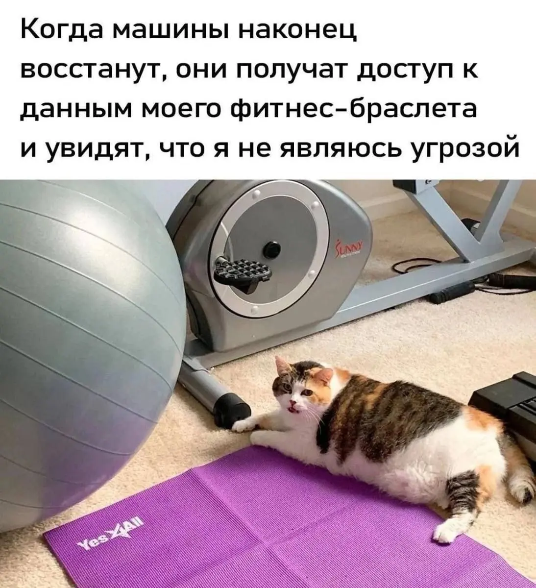 Мемы для повышения KPI (нет). Подписывайся 🤡 | Сетка — социальная сеть от hh.ru