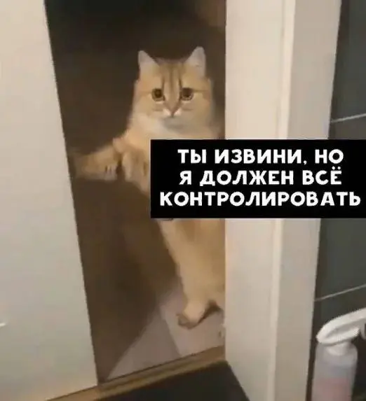 Ты прыгаешь из отношений в отношения , меняешь работу, в контакте тебе сложно , но когда его нет испытываешь раздражение и злость к тем, кто не звонит тебе каждый день | Сетка — социальная сеть от hh.ru