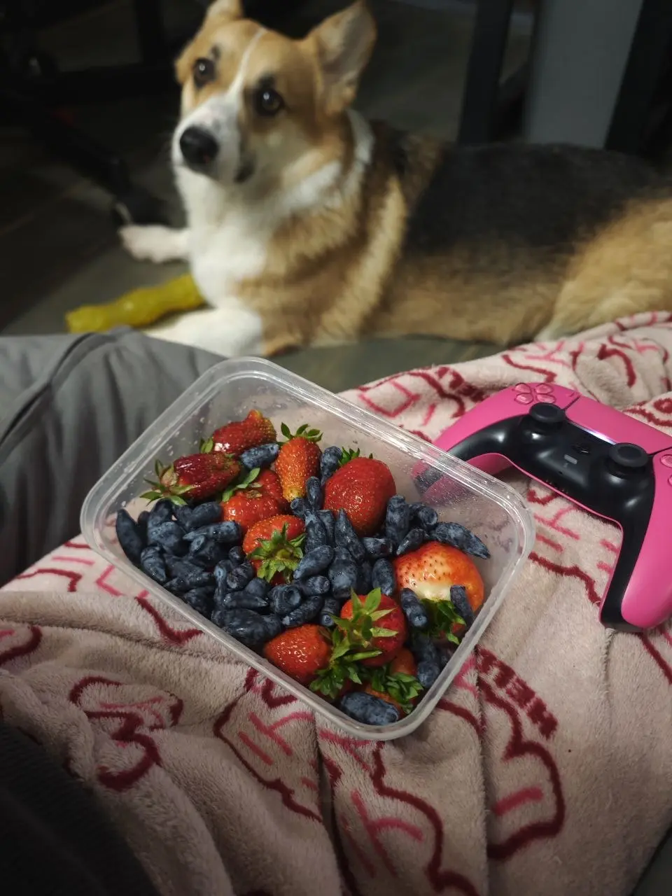Красиво конечно 😹 | Сетка — социальная сеть от hh.ru