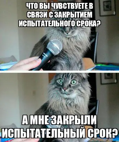 Испытательный срок 📅 | Сетка — социальная сеть от hh.ru