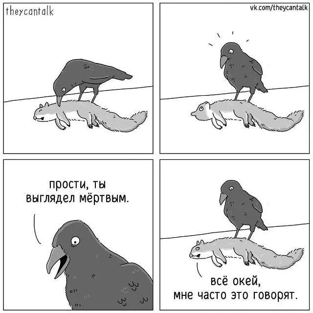 comment image