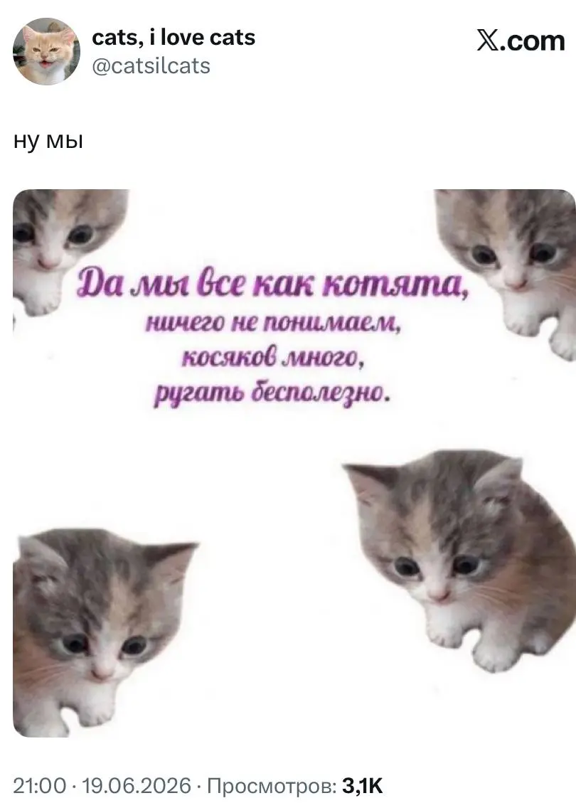 #cats | Сетка — социальная сеть от hh.ru