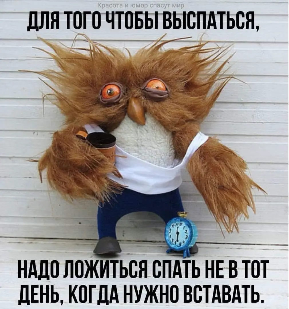 .,выспались?) | Сетка — социальная сеть от hh.ru