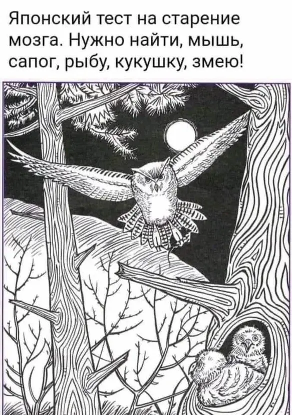.,выспались?) | Сетка — социальная сеть от hh.ru