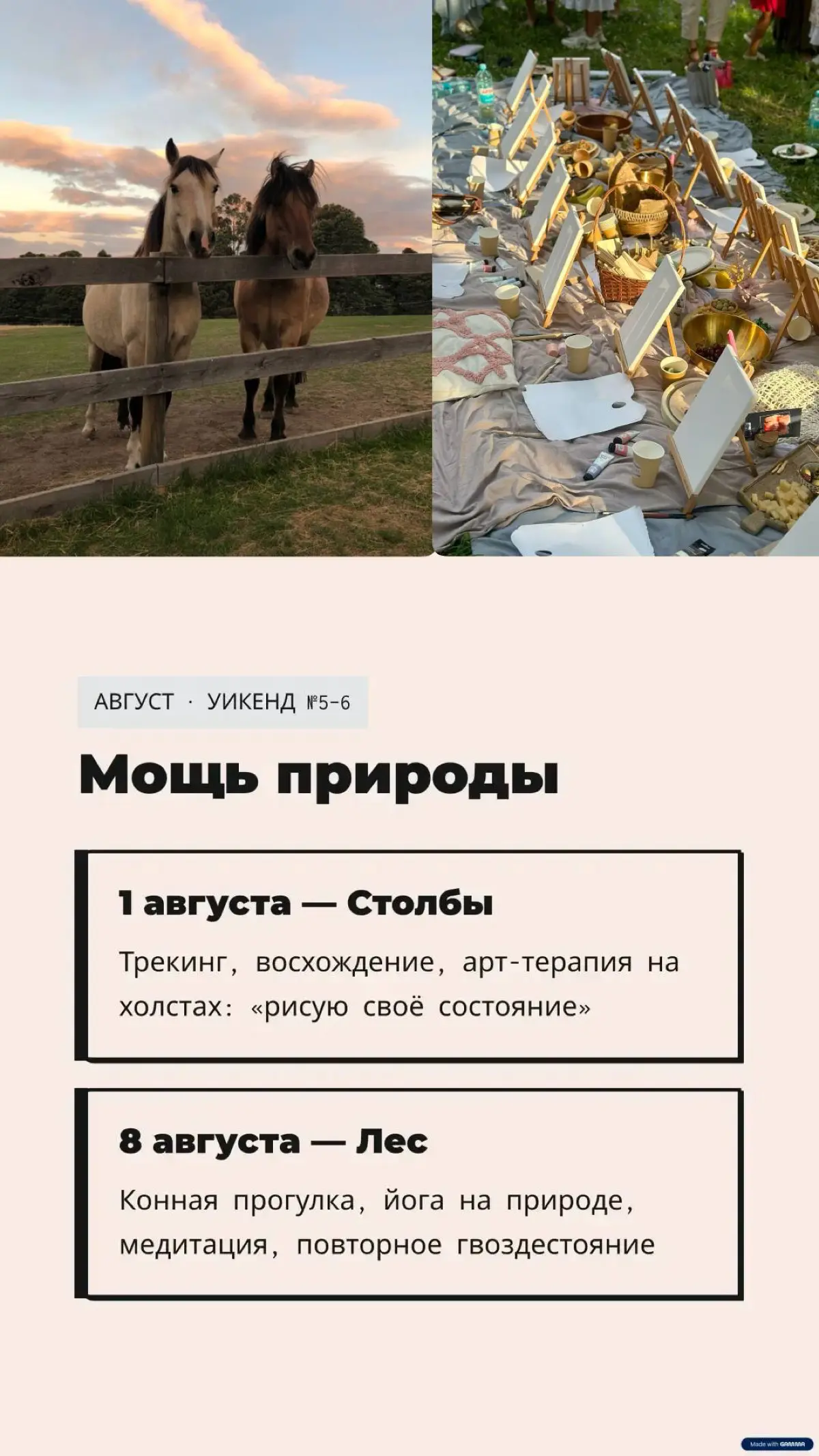 Телепроект «СВОИ» на ТВК | Сетка — социальная сеть от hh.ru