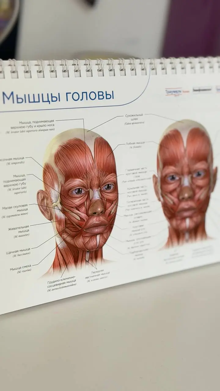 Запись на прием и консультацию в личные сообщения 🤍 | Сетка — социальная сеть от hh.ru