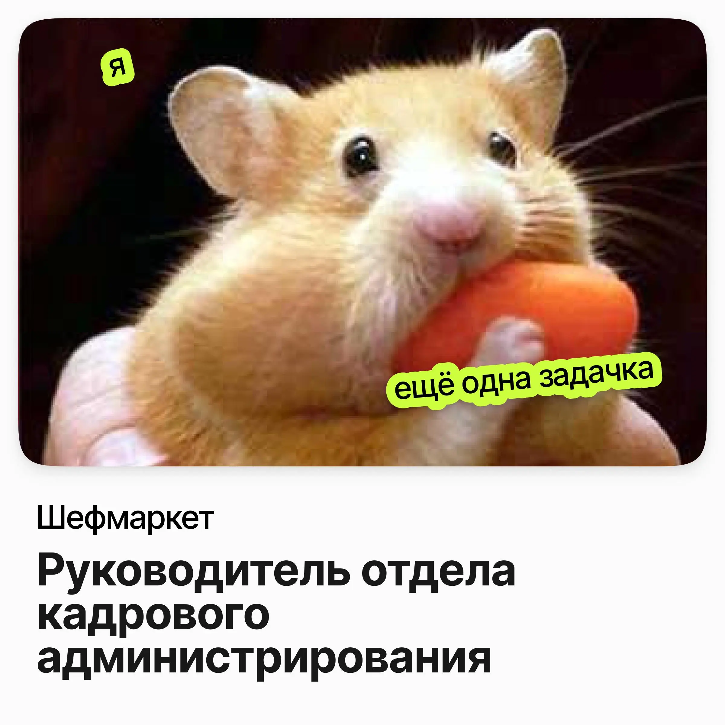 👥 Руководитель отдела кадрового администрирования / Шефмаркет
Шефмаркет — сервис доставки наборов для домашней готовки с собственным производством | Сетка — социальная сеть от hh.ru