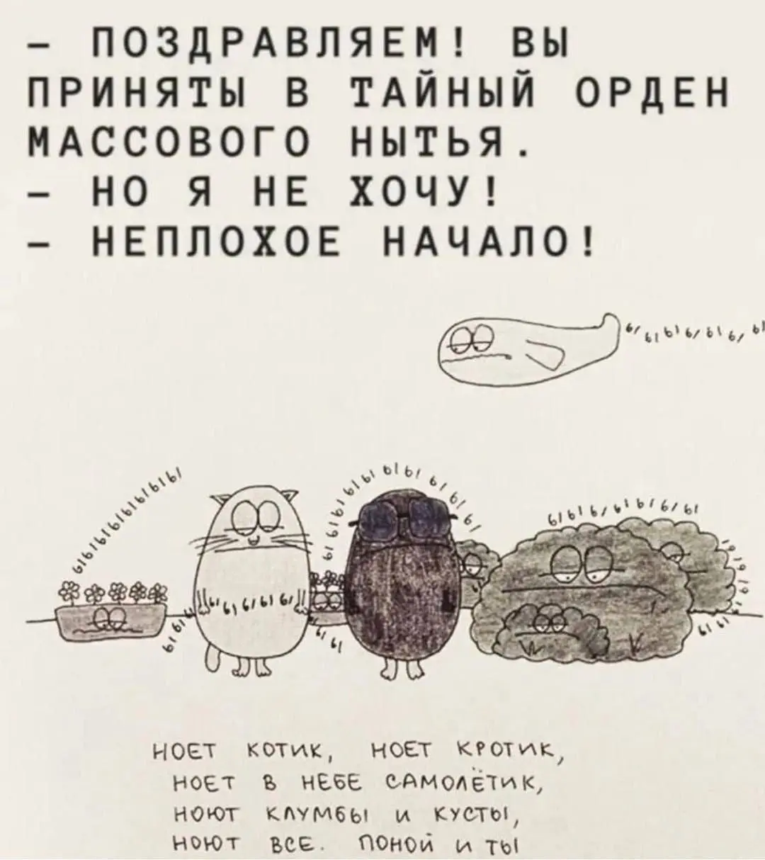 #life | Сетка — социальная сеть от hh.ru