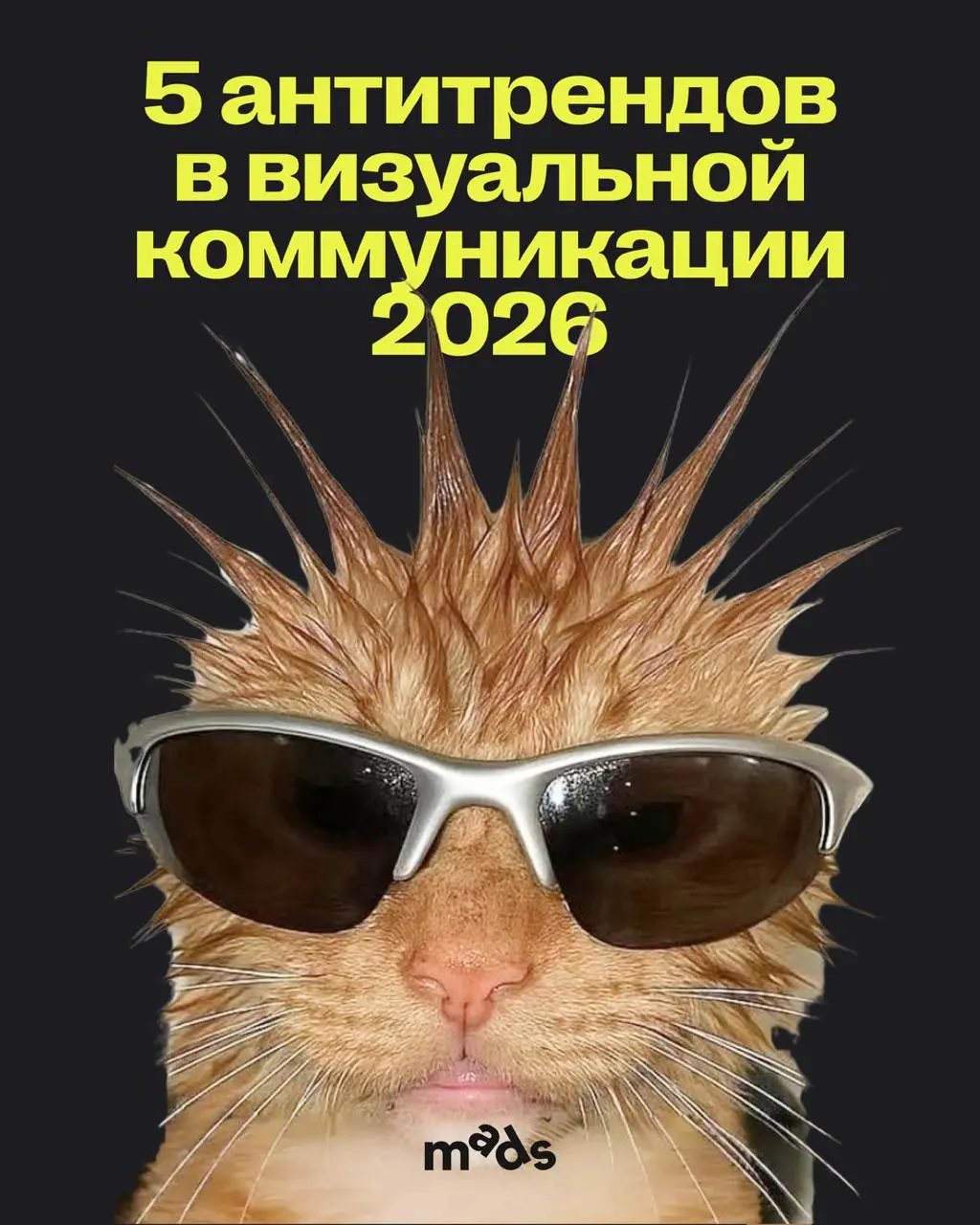 В дизайне тренды приходят и уходят, но некоторые визуальные приёмы устаревают быстрее других | Сетка — социальная сеть от hh.ru