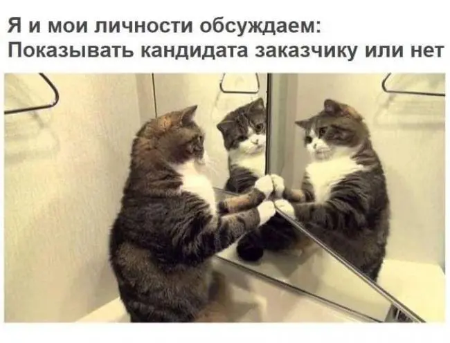 Почему одни команды взлетают, а другие разваливаются, хотя в них работают одинаково сильные люди?
Вчера на встрече HR-сообщества слушала выступление о профайлинге | Сетка — социальная сеть от hh.ru