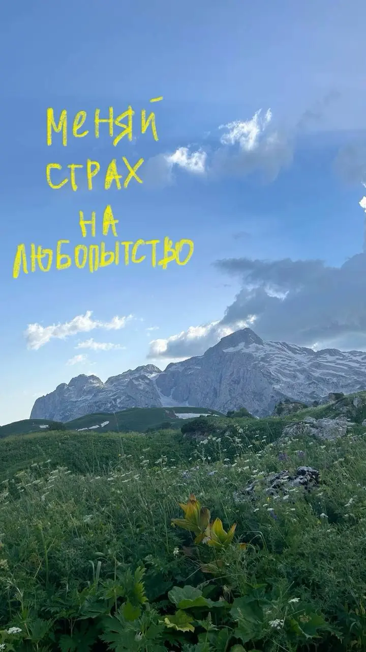 🔠🔠🔠🔠🔠 | Сетка — социальная сеть от hh.ru