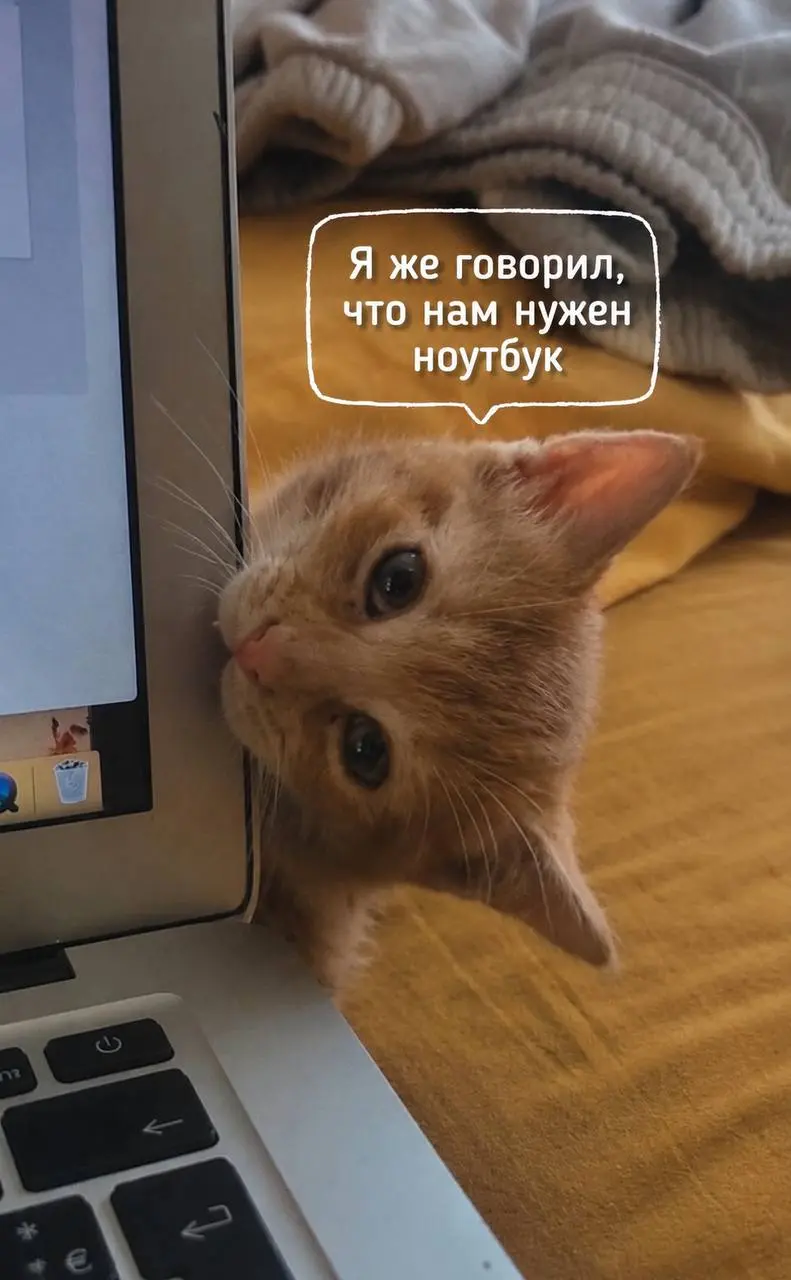 Есть вещи, решения о покупке которых длятся годами.
Бойлер на время отключения горячей воды | Сетка — социальная сеть от hh.ru
