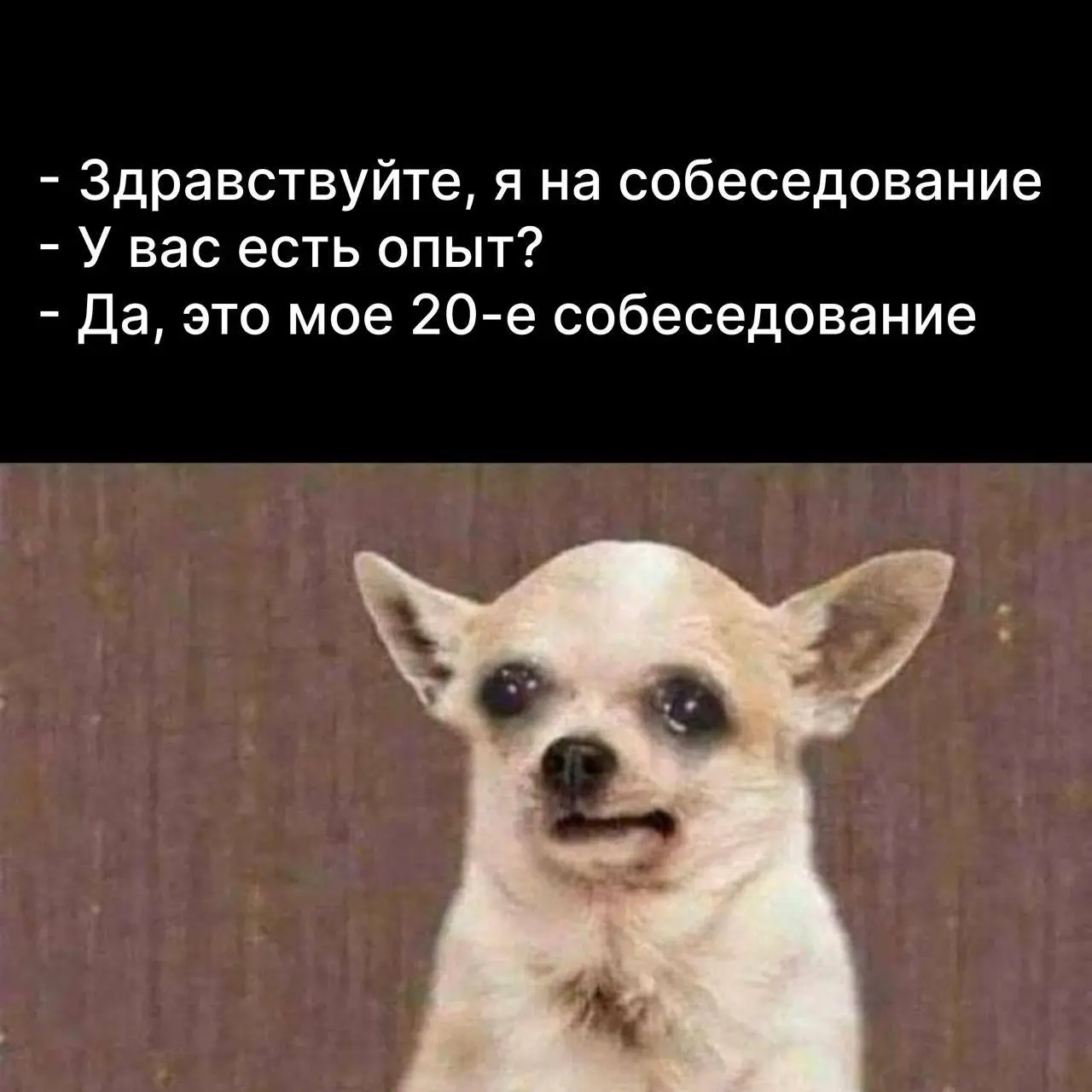 Нежного пробуждения, трудяги😐
До пятницы всего четыре дня✌ Улыбаемся и пашем!
@netwrkresume | Сетка — социальная сеть от hh.ru