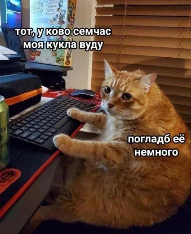 #cats | Сетка — социальная сеть от hh.ru