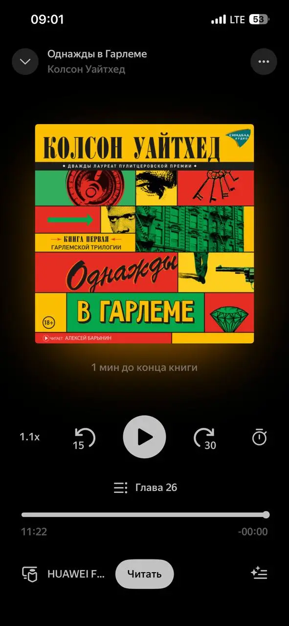 «Однажды в Гарлеме»
Моя первая книга про гангстеров США 60х
Главный герой прям понравился: негр, отпрыск уголовника, который изо всех сил старается вести законопослушную жизнь предпринимателя, но гены... | Сетка — социальная сеть от hh.ru