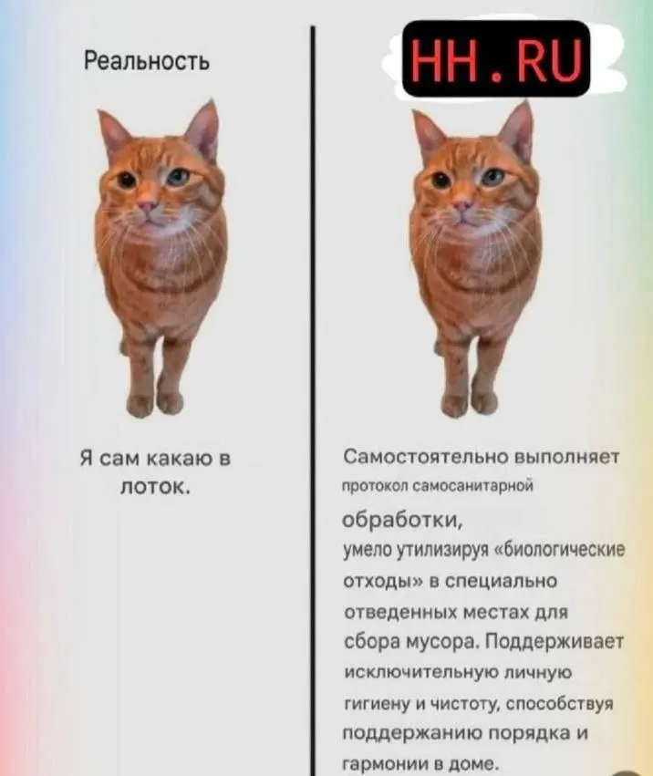 поиск работы в 2026 | Сетка — социальная сеть от hh.ru