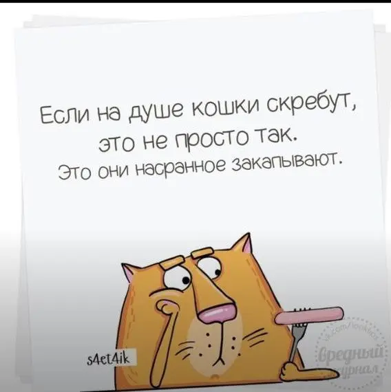 Одиночки | Сетка — социальная сеть от hh.ru