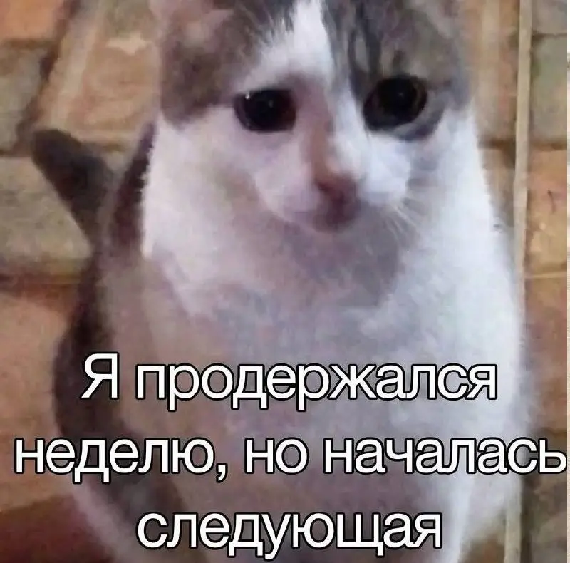 Ну с понедельником, дорогие! Вы как?
👍 держусь нормально
❤️ нуждаюсь в поддержке
💩 не участвую в опросах | Сетка — социальная сеть от hh.ru