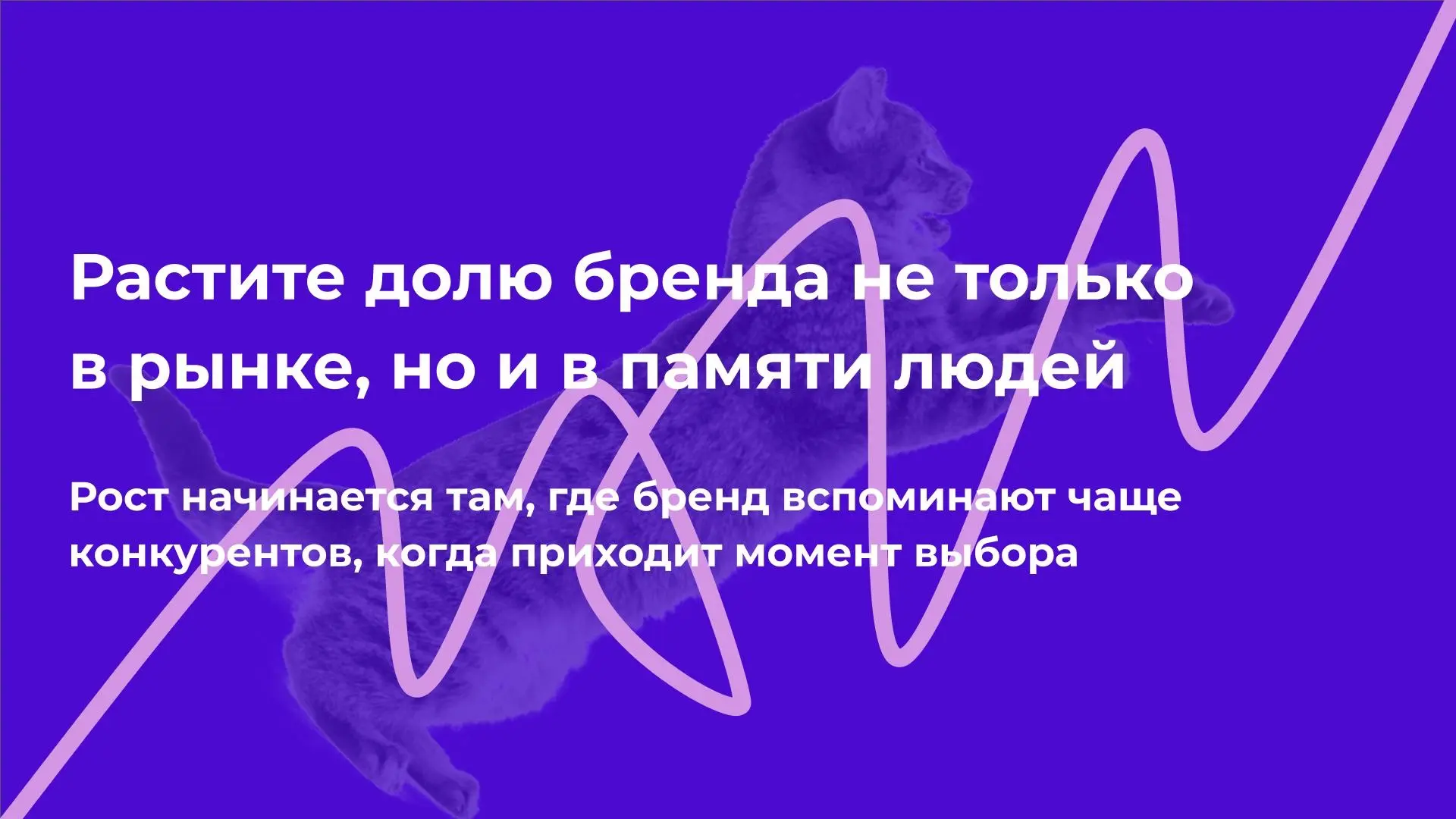 Растите долю бренда не только в рынке, но и в памяти людей | Сетка — социальная сеть от hh.ru
