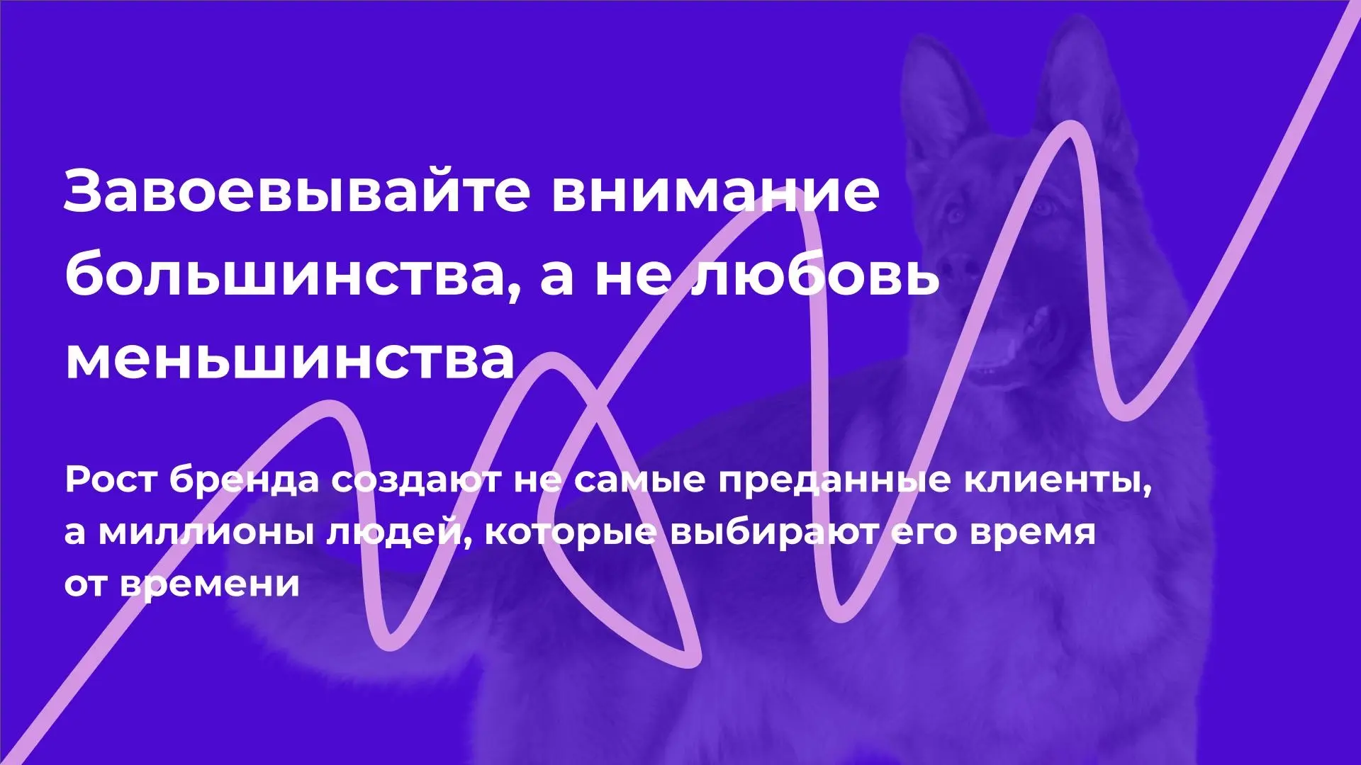Завоевывайте внимание большинства, а не любовь меньшинства | Сетка — социальная сеть от hh.ru