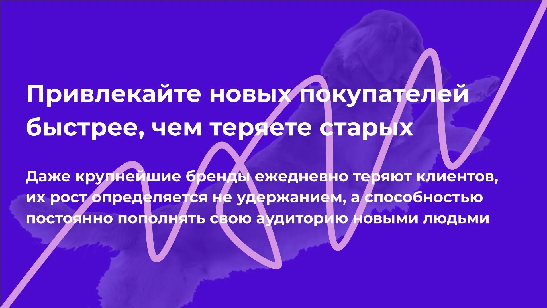 Привлекайте новых покупателей быстрее, чем теряете старых | Сетка — социальная сеть от hh.ru