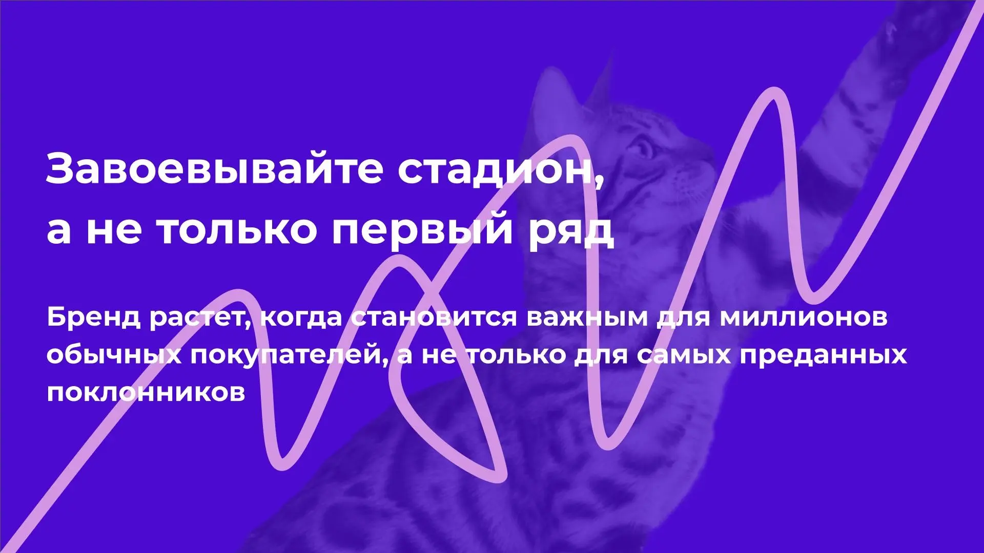 Завоевывайте стадион, а не только первый ряд | Сетка — социальная сеть от hh.ru