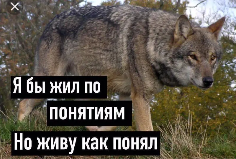 Где проходит граница “норм приукрасить” и “уже зря”
Быстрый чек-лист:
Ок:
— чуть сгладил сроки
— усилил свою роль в проекте
— добавил технологии, с которыми реально сталкивался
Не ок:
— придумал проек... | Сетка — социальная сеть от hh.ru