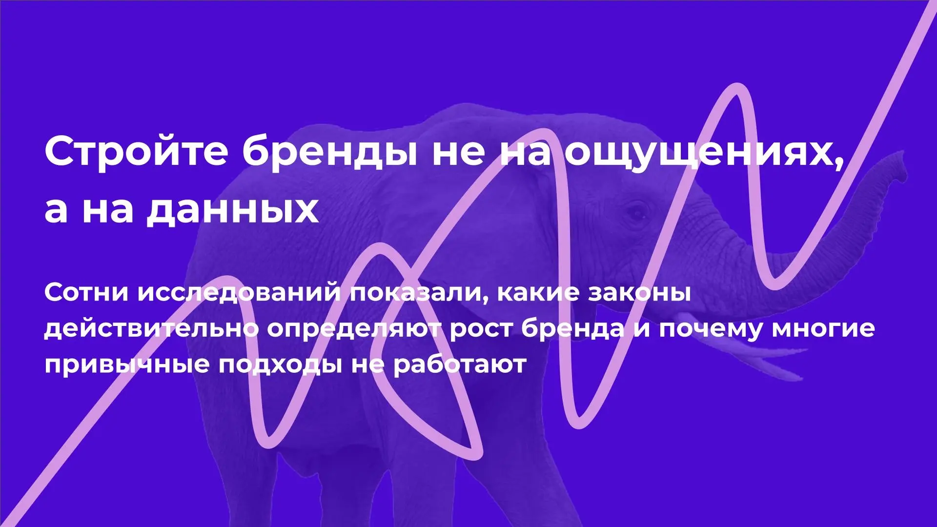 Стройте бренды не на ощущениях,
а на данных | Сетка — социальная сеть от hh.ru