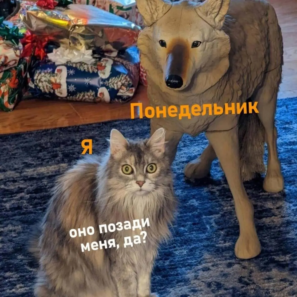 Наталия Костарева