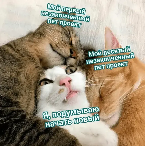 Пет-проект в резюме: плюс, минус или просто шум? | Сетка — социальная сеть от hh.ru