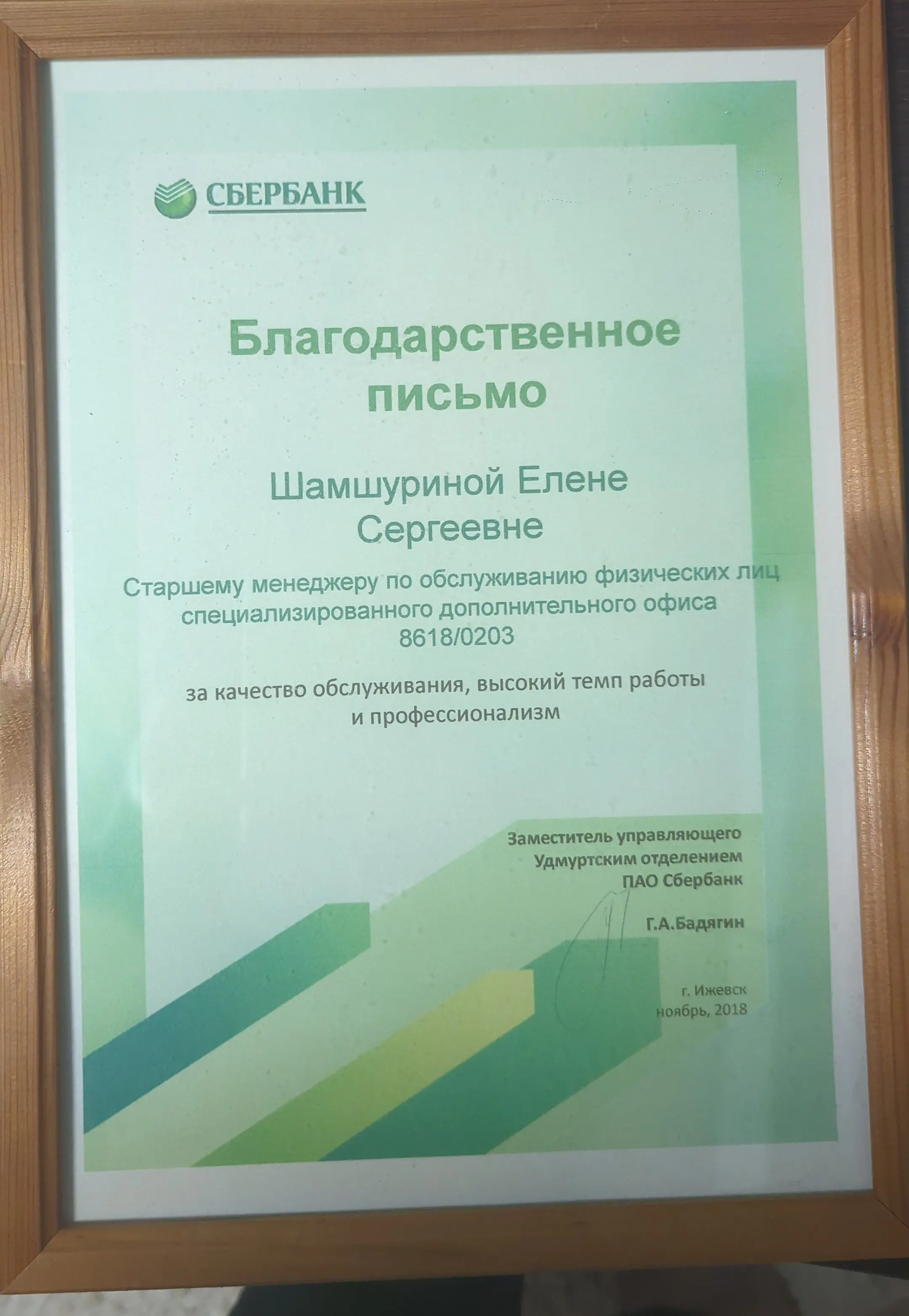 Елена Шамшурина