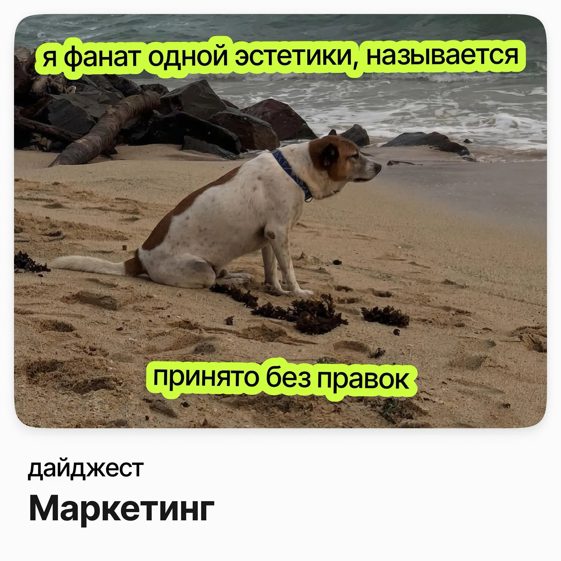 💼💼💼Маркетинг — кого ищут на этой неделе
Media Group Head / OMD OM Group
Зарплата: от 196 000 до 325 000 ₽
Подробнее
Руководитель отдела бренд-маркетинга / Capital Group
Зарплата: от 200 000 до 296 000... | Сетка — социальная сеть от hh.ru