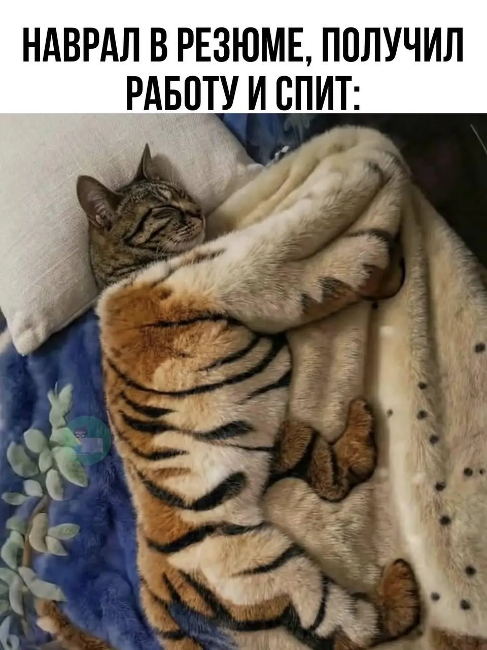 #IT
😂 ПМ 💬 MAX 🛍 Другие каналы
В этом посте были ссылки, но мы их удалили по правилам Сетки | Сетка — социальная сеть от hh.ru