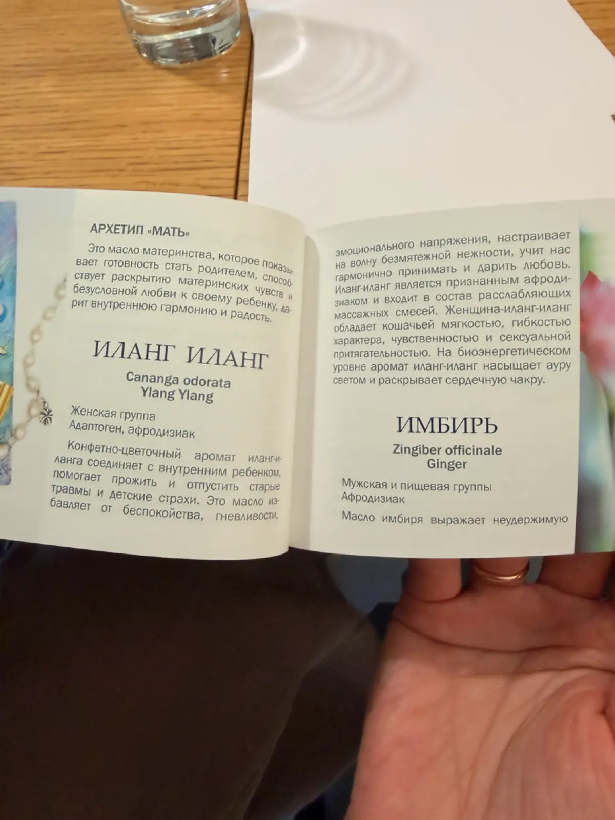 Утренний бьюти-эксперимент удался! 💚 | Сетка — социальная сеть от hh.ru